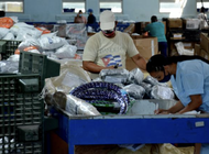 autoridades cubanas admiten que tiene mas de 160 mil paquetes sin entregar