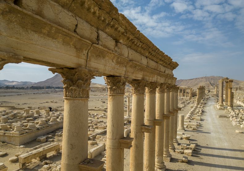 Esta toma aérea muestra secciones de las columnas en la antigua ciudad romana de Palmira, el sábado 25 de enero de 2025, en Siria. (AP Foto/Khalil Hamra)