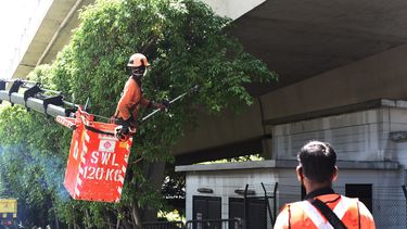 Singapur registra un récord de 1.426 casos nuevos del virus