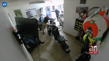 captados en camara dos ladrones que robaron dos motos ducati valoradas en mas de 40 mil dolares