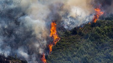 vientos alimentan incendio en espana; portugal en alerta