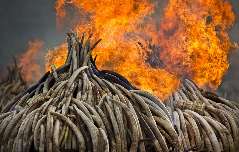 MUN-CIE_ONU-REPORTE_AMBIENTAL-0.jpg
