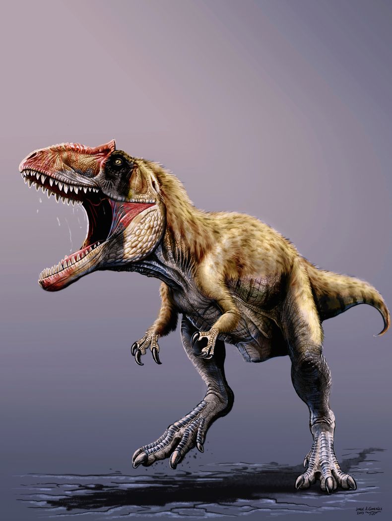 Reproducci&oacute;n art&iacute;stica sin fecha provista por el museo Field, de un dinosaurio recientemente descubierto, llamado Siats meekerorum. Los investigadores descubrieron el f&oacute;sil de este depredador gigante de hace 100 millones de a&ntilde;o