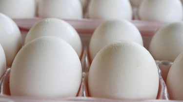 La gripe aviar en Estados Unidos provoca un aumento de precios y escasez de huevos en Puerto Rico
