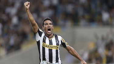 americateve | El argentino Juan Carlos Ferreyra, del Botafogo de Brasil, celebra su gol frente a San Lorenzo de Argentina, en un partido de la Copa Libertadores disputado el martes 11 de febrero de 2014 en R&iacute;o de Janeiro (AP Foto/Silvia Izquierdo)
