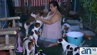 americateve | Esta familia tiene en su casa más de una decena de perros.
