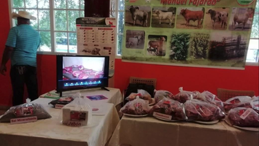 la exposicion de carnes para el turismo y tiendas en dolares genera indignacion entre cubanos