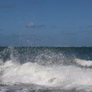 Continúa peligrosa la costa norte con olas rompientes de hasta 15 pies