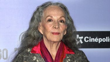 ya no aguanto, me estoy yendo: asi fueron los ultimos dias de isela vega, segun su nieta