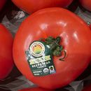 Tomates importados desde México a la venta en un supermercado, el miércoles 5 de marzo de 2025, en Miami. (AP Foto/Lynne Sladky, Archivo)