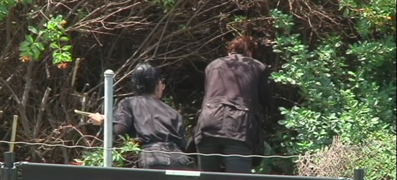 encuetran cadaver.png