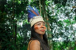 a pocos les preocupa el medio ambiente en la amazonia