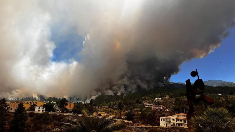 canarias-129441.jpeg