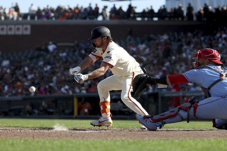 Brett Wisely, izquierda, de los Gigantes de San Francisco, ejecuta un toque de bola frente al receptor de los Cardenales de San Luis, Pedro Pagés, derecha, durante la octava entrada del juego de béisbol del sábado 28 de septiembre de 2024, en San Francisco. (AP Foto/Jed Jacobsohn)