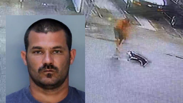 tras la rejas un cubano de hialeah por estrangular al perro de su vecino