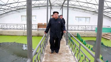 los mayores temores del dictador norcoreano kim jong-un