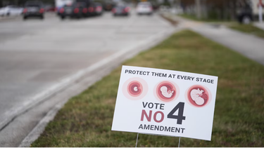 florida rechaza en referendum las enmiendas sobre marihuana recreativa y derecho al aborto