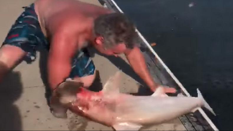 Screen Shot 2018-03-09 at 9.15.02 AM.png