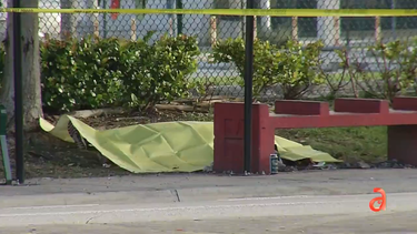 una mujer fue baleada mortalmente por su propio hijo en una parada de autobus