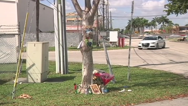 asesinado hombre hispano en club de bailarinas nudistas en hialeah