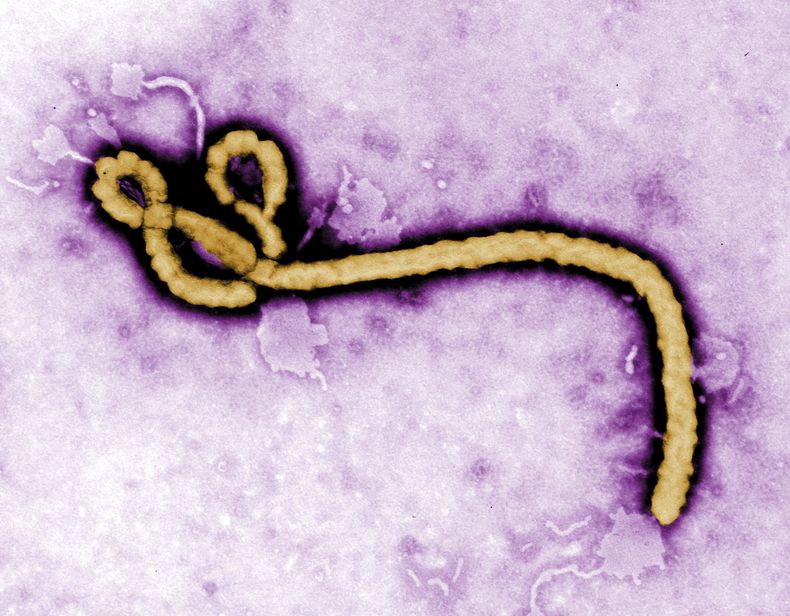 AFR-MED_CONGO-EBOLA-0.jpg