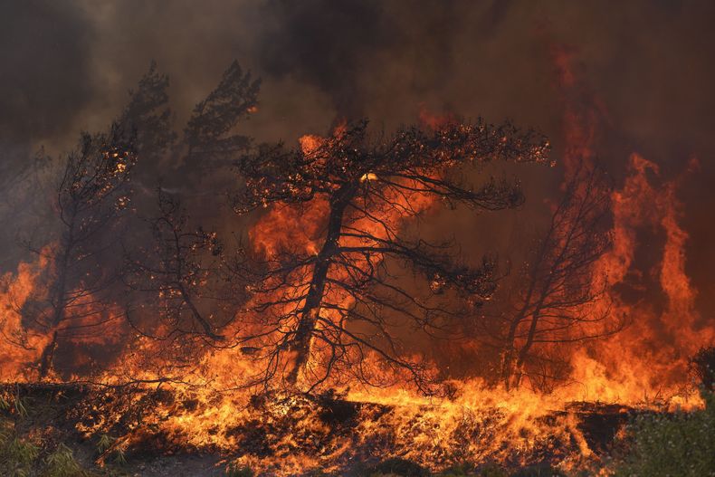 Arde la aldea de Vati en un bosque de la isla de Rodas, en el mar Egeo, Grecia, martes 25 de julio de 2023. Un avión hidrante cayó a tierra en la isla de Eubea. (AP Foto/Petros Giannakouris)