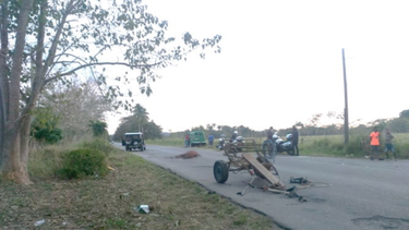 caballo desbocado impacta contra un automovil en la habana