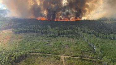 Un incendio forestal arrasa con un bosque de Alberta, Canadá, el viernes 12 de mayo de 2023. (Government of Alberta Fire Service/Canadian Press via AP)