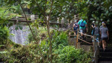 Fallece un menor residente en Luisiana en una vereda de El Yunque