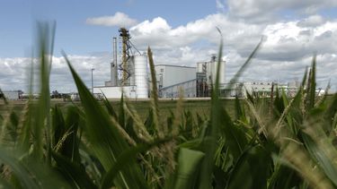 Duras críticas a investigación de AP sobre etanol