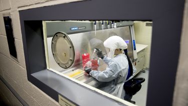 EEUU: Unidad de inteligencia médica advirtió de coronavirus