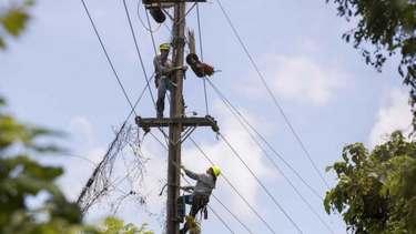 la aee alega que solo faltan por energizar unos 25,678 abonados