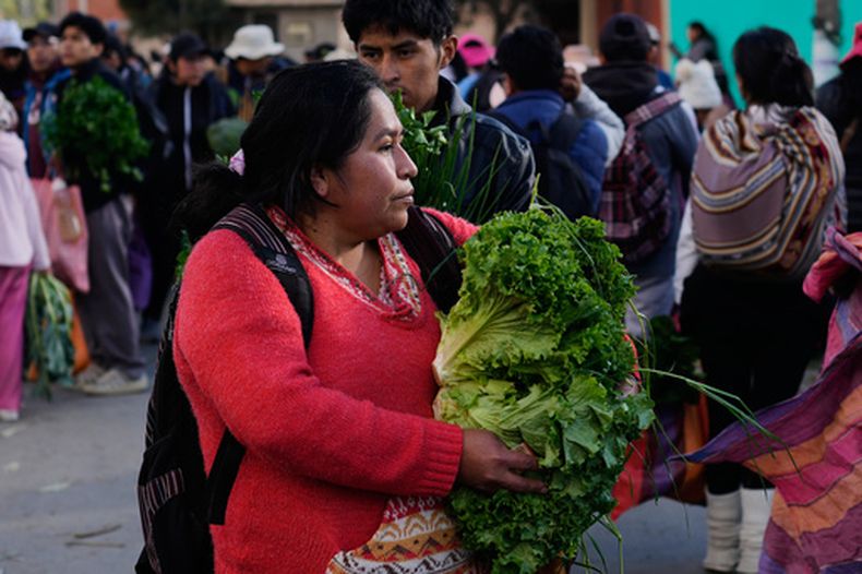 Una mujer lleva lechugas tras comprarlas en un mercado improvisado en Avircato, Bolivia, organizado por productores de hortalizas que no pueden transportar sus productos a la capital debido a los bloqueos provocados por las protestas, el jueves 4 de junio de 2026. (Foto AP/Juan Karita)