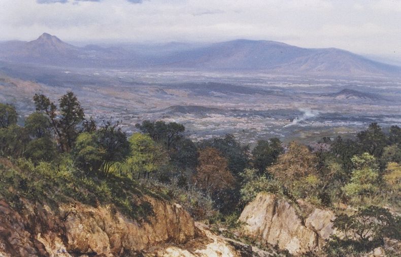 Eran conducidos por dos traficantes y las autoridades han iniciado su proceso de deportación.