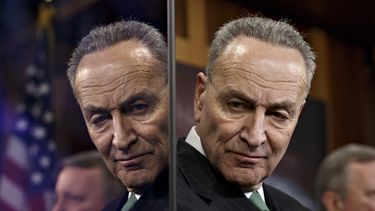 Schumer: Que ley inmigración sea vigente en 2017