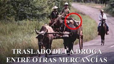 Campesinos trasladaban marihuana encubierta entre sus productos agrícolas, según el periódico &nbsp;Ahora.