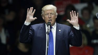 trump celebra su victoria en las presidenciales de eeuu