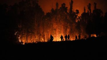 chile entrega primeras ayudas a damnificados por incendios