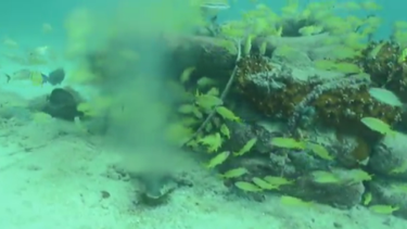 encuentran fuga de agua con residuos fecales cerca de las playas de miami y key biscayne