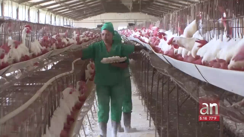 Screen Shot 2019-03-13 at 7.21.07 PM.png