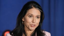 senado confirma a tulsi gabbard como directora de inteligencia nacional de trump tras alineacion de los republicanos