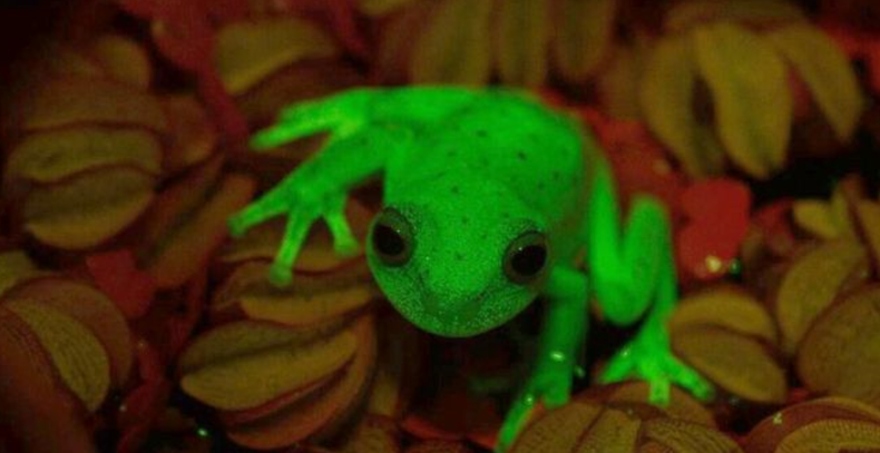 Screenshot (1806).png