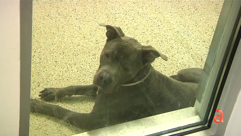 Screen Shot 2022-02-08 at 6.31.36 PM.png