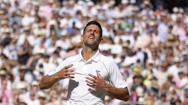 Djokovic, sin vacunar, espera le permitan jugar el US Open
