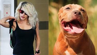 la confesion de la mujer que tuvo sexo con un pitbull: me arruino la vida