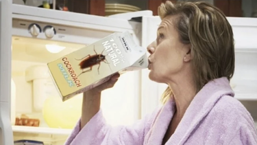 la leche de cucaracha es nutritiva: la prensa oficial juega con la paciencia de los cubanos