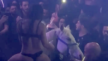 tras escandalo reabre sus puertas mokai lounge en miami beach