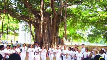 Damas de Blanco en el parque Gandhi. (Archivo)