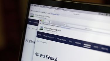 Agencias de EEUU borran páginas web para proteger a afganos