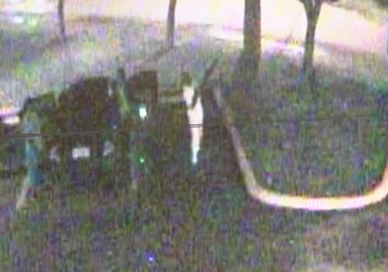 revelan imagenes.png